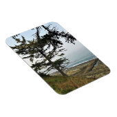 Cape Arago State Park, Oregon Coast Magnet (Rechte Seite)