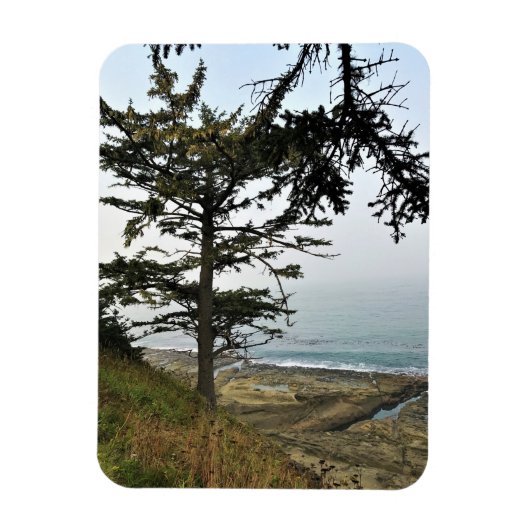 Cape Arago State Park, Oregon Coast Magnet (Vertikal)