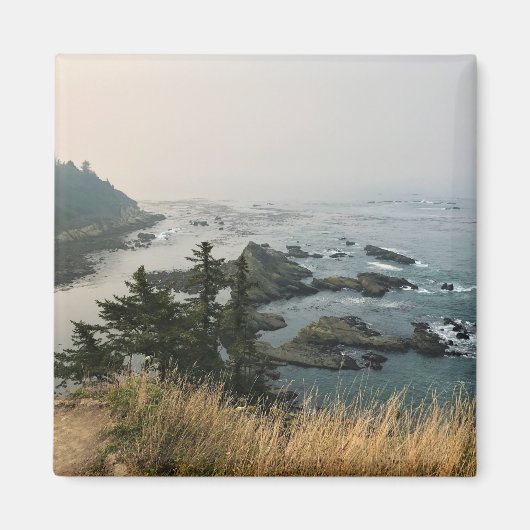 Cape Arago State Park, Oregon Coast Magnet (Vorne)