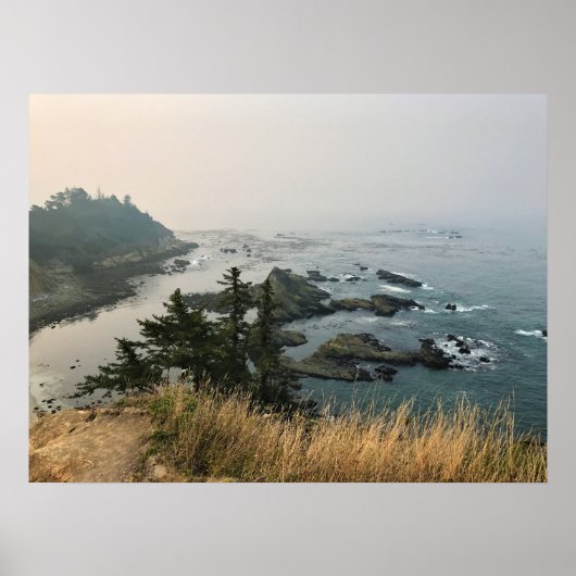 Cape Arago State Park, Oregon Coast Poster (Vorne)