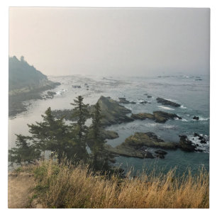 Cape Arago State Park, Oregon-Küste Fliese