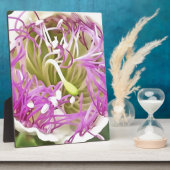 Cape Blume Blossom Botanische Kunst Fotoplatte (Seite)