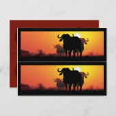 Cape Buffalo Buchmarkierungen Postkarte (Vorne/Hinten)
