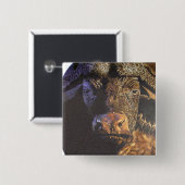 Cape Buffalo Button (Vorne & Hinten)