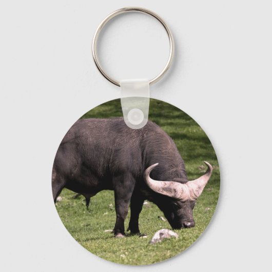 Cape Buffalo Eating Schlüsselanhänger (Vorderseite)