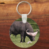 Cape Buffalo Eating Schlüsselanhänger (Vorderseite)