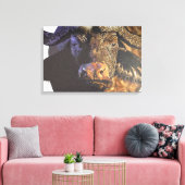Cape Buffalo Leinwanddruck (Insitu (Wohnzimmer))