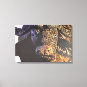 Cape Buffalo Leinwanddruck