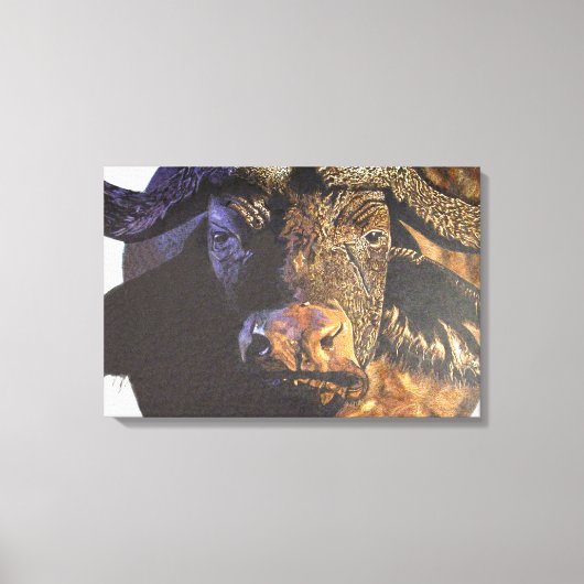 Cape Buffalo Leinwanddruck (Vorderseite)
