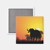 Cape Buffalo Magnet (Vorderseite/Rückseite)