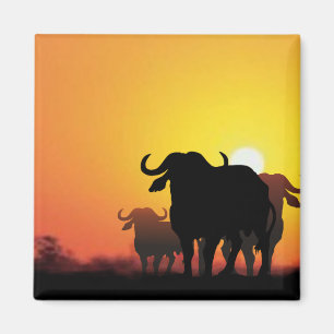 Cape Buffalo Magnet