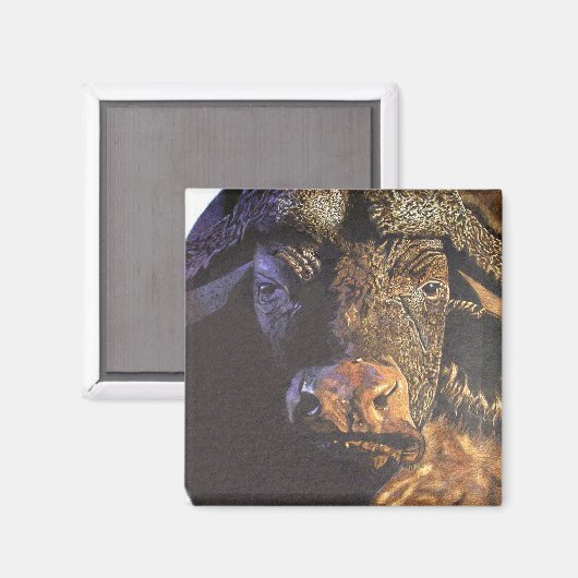 Cape Buffalo Magnet (Vorderseite/Rückseite)