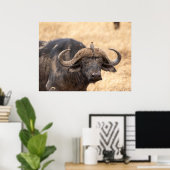 Cape Buffalo mit Egret - Maasai Mara Safari Poste Poster (Heimbüro)