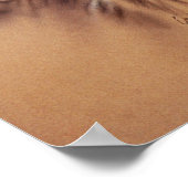 Cape Buffalo & Oxpeckers Poster (Ecke)