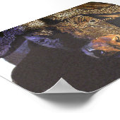 Cape Buffalo Poster (Ecke)