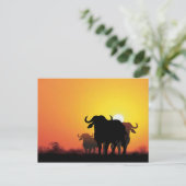 Cape Buffalo Postkarte (Stehend Vorderseite)