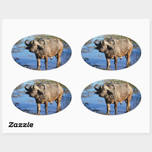 Cape Buffalo Safari große 5 Aufkleber (Blatt)