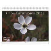 Cape Carnivores Kalender 2022 (Titelbild)