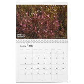 Cape Carnivores Kalender 2022 (Jan 2026)