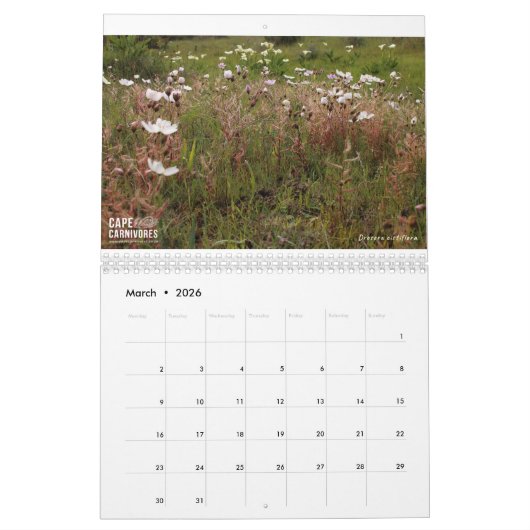 Cape Carnivores Kalender 2022 (Mär 2026)