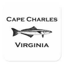Cape Charles Virginia Cobia