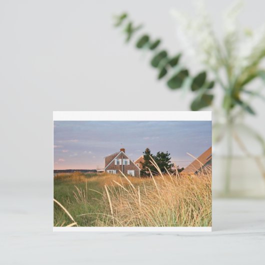 Cape Cod Beach House Postkarte (Stehend Vorderseite)