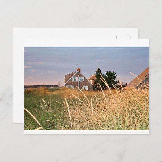 Cape Cod Beach House Postkarte (Vorne/Hinten)