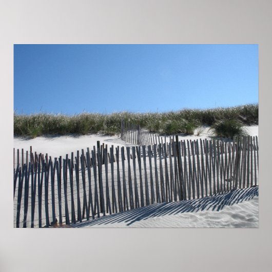 Cape Cod Beach Poster (Vorne)