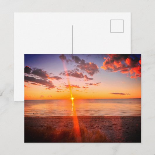 Cape Cod Beach Sunset Photo Postkarte (Vorne/Hinten)