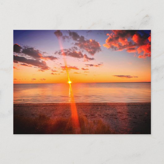 Cape Cod Beach Sunset Photo Postkarte (Vorderseite)