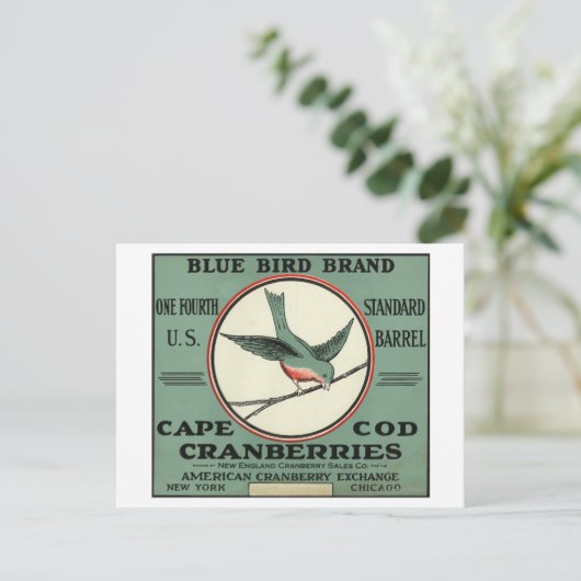 Cape Cod Blue Bird Markenzeichen Cranberry Label Postkarte (Stehend Vorderseite)