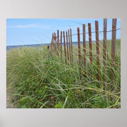 Cape Cod Dunes Poster (Vorne)