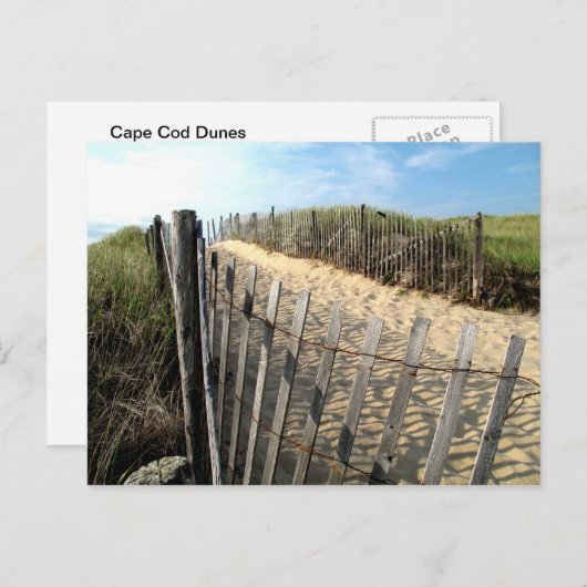 Cape Cod Dunes Postkarte (Vorne/Hinten)