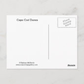 Cape Cod Dunes Postkarte (Rückseite)