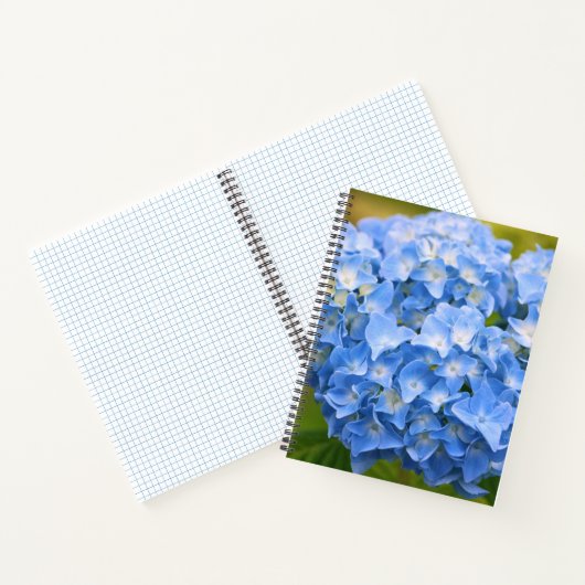 CAPE COD HYDRANGEA NOTEBOOK NOTIZBLOCK (Innenseite)