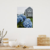 Cape Cod Hydrangea Zuhause Poster (Küche)