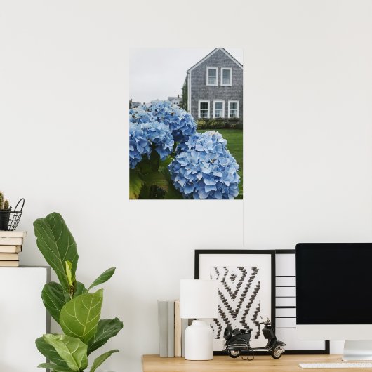Cape Cod Hydrangea Zuhause Poster (Heimbüro)
