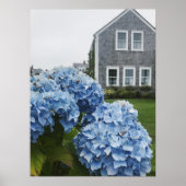 Cape Cod Hydrangea Zuhause Poster (Vorne)