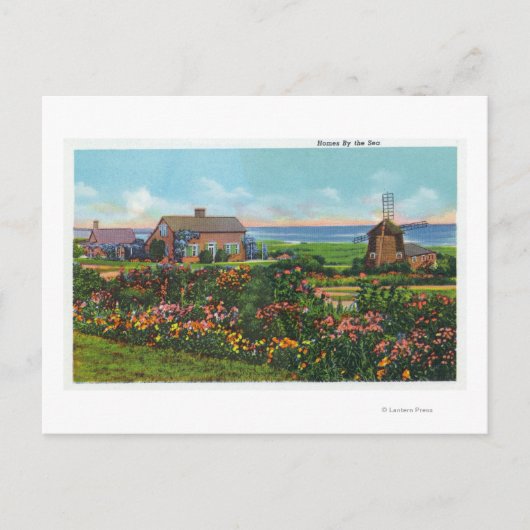 Cape Cod, MassachusettsSicht auf die Zuhause Postkarte (Vorderseite)