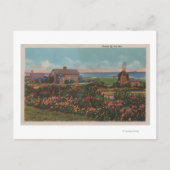 Cape Cod, MassachusettsWohnungen mit Meerblick Postkarte (Vorderseite)
