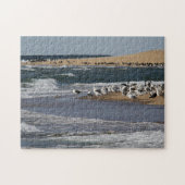 Cape Cod-Meerblick mit Ufervögeln Puzzle (Horizontal)