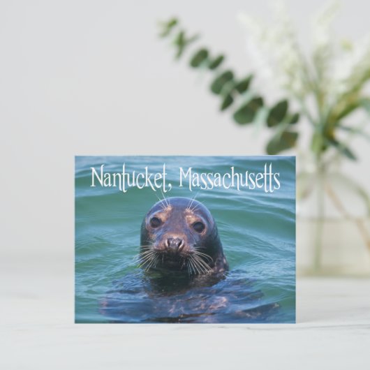 Cape Cod, Nantucket, Massachusetts Siegel Postkart Postkarte (Stehend Vorderseite)