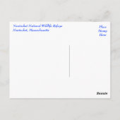 Cape Cod, Nantucket, Massachusetts Siegel Postkart Postkarte (Rückseite)