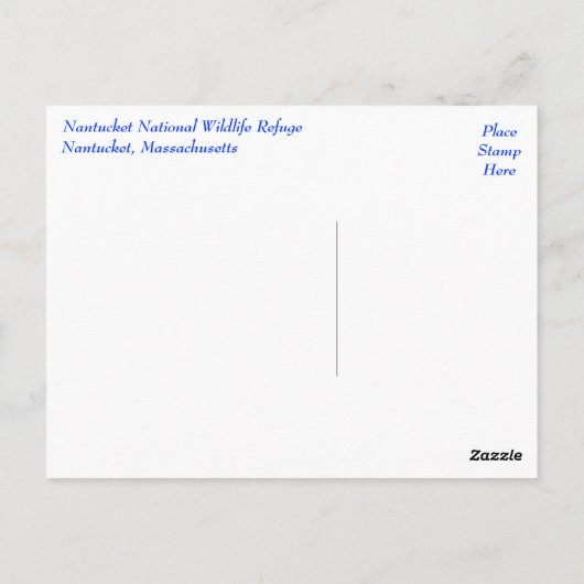 Cape Cod, Nantucket, Massachusetts Siegel Postkart Postkarte (Rückseite)