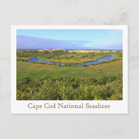 Cape Cod National Seashore Pilgrim Höhen Postkarte (Vorderseite)