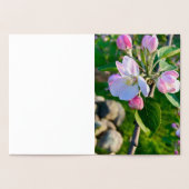 Cape Cod Ornament Weihnachtskarte Folienkarte (Innenseite)