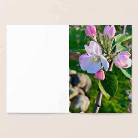 Cape Cod Ornament Weihnachtskarte Folienkarte (Innenseite)