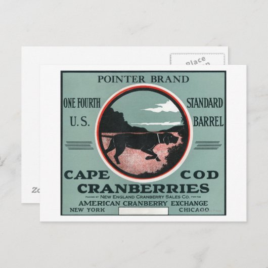 Cape Cod Pointer Markenbezeichnungen Cranberry Lab Postkarte (Vorne/Hinten)