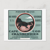 Cape Cod Pointer Markenbezeichnungen Cranberry Lab Postkarte (Vorderseite)