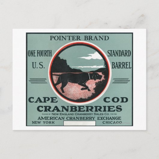 Cape Cod Pointer Markenbezeichnungen Cranberry Lab Postkarte (Vorderseite)